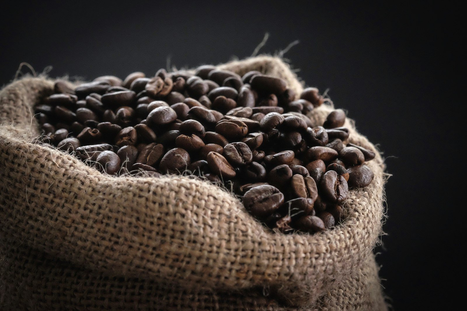 Coffee Roast Levels Explained: Light, Medium, and Dark