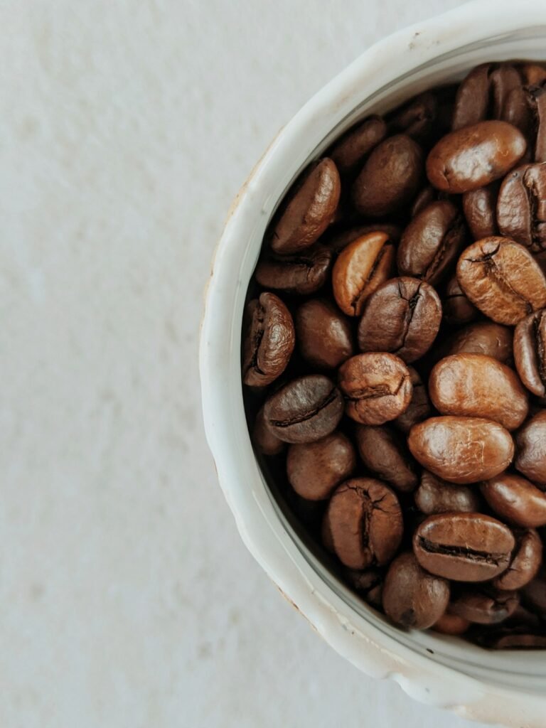 Best Drip Coffee Makers with a Built-In Grinder (2026)