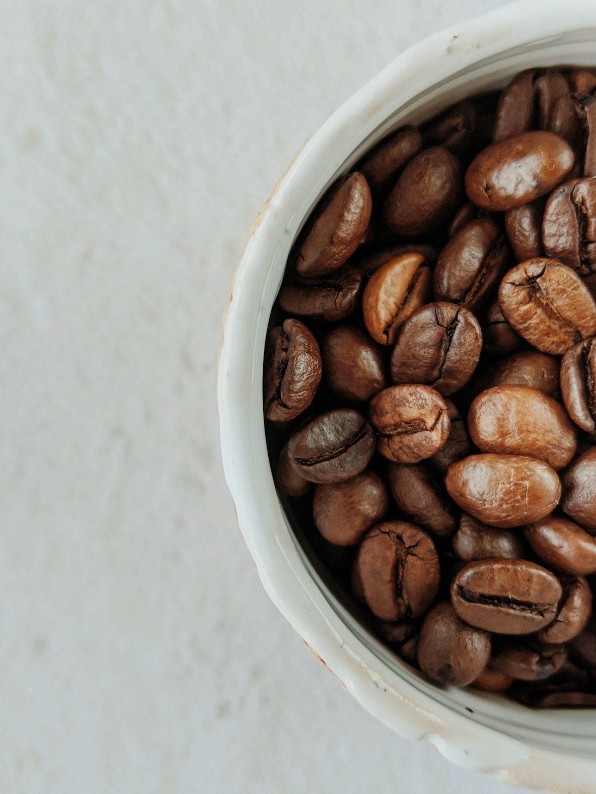 Best Drip Coffee Makers with a Built-In Grinder (2026) Best Drip Coffee Makers with a Built-In Grinder (2026)